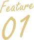 Feature01